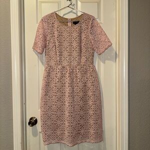 Enfocus Studio Blush Lace Midi Dress